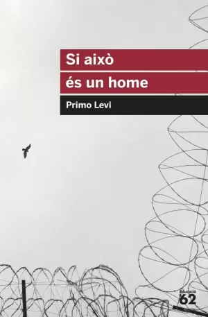 SI AIXÒ ÉS UN HOME