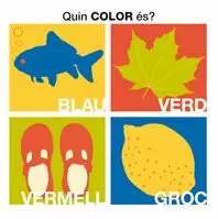 QUIN COLOR ÉS?